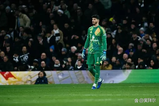 开云体育- 纳达尔个人资料简介德约科维奇 